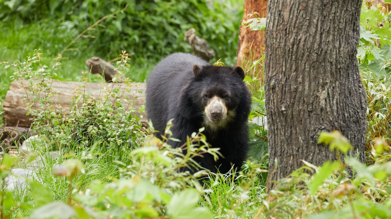 zoo duisburg 2021