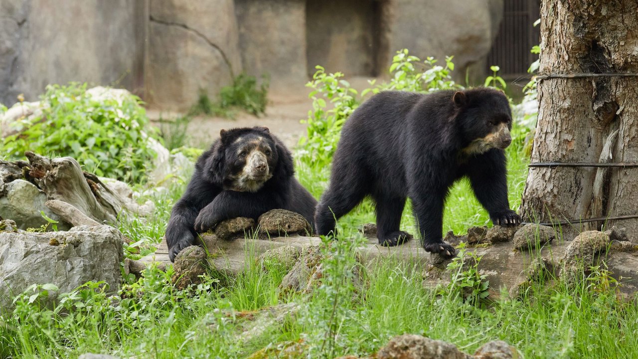 zoo duisburg 2021