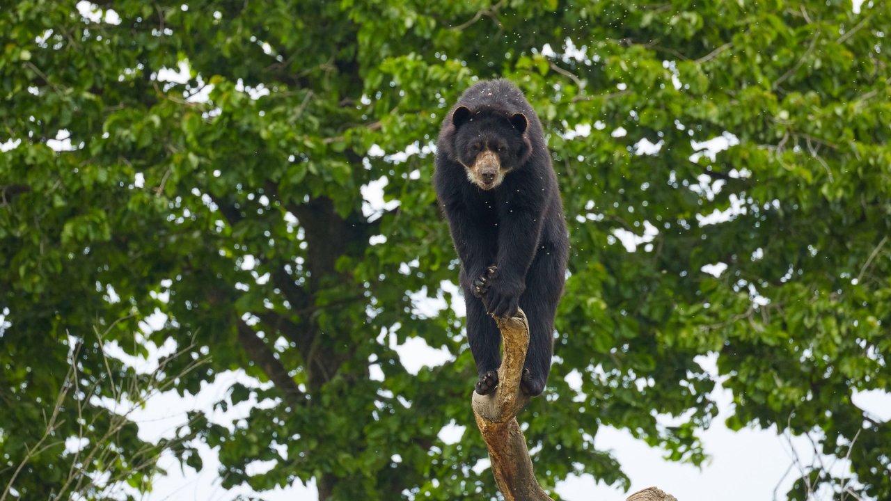 zoo duisburg 2021