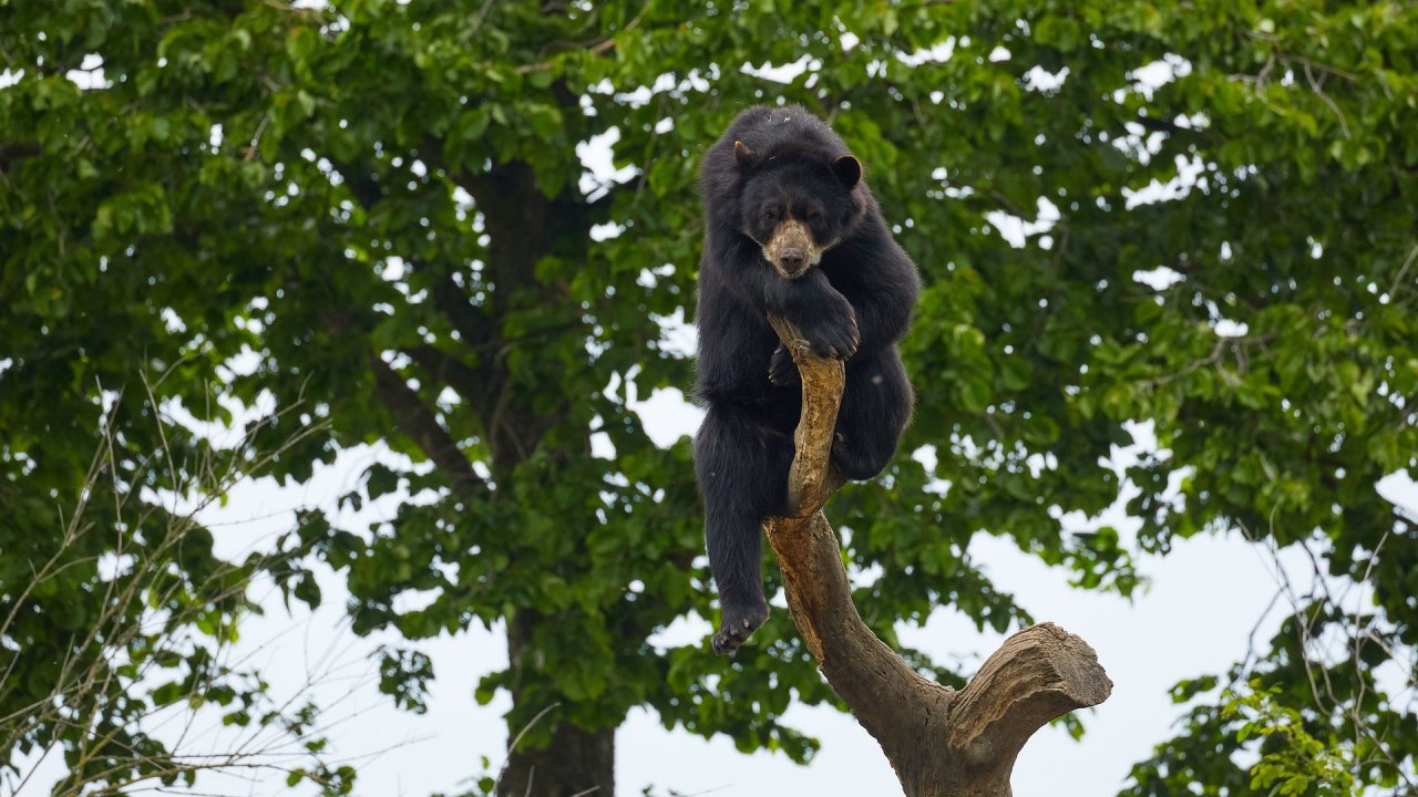 zoo duisburg 2021
