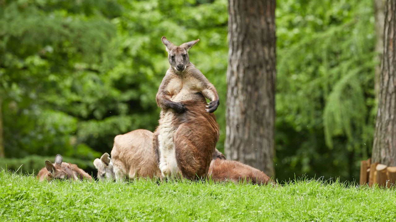 zoo duisburg 2021