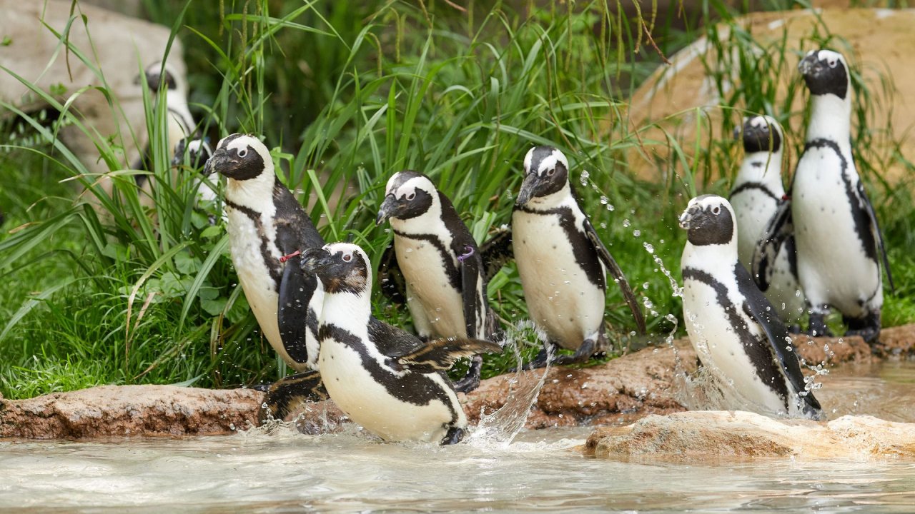 zoo duisburg 2021