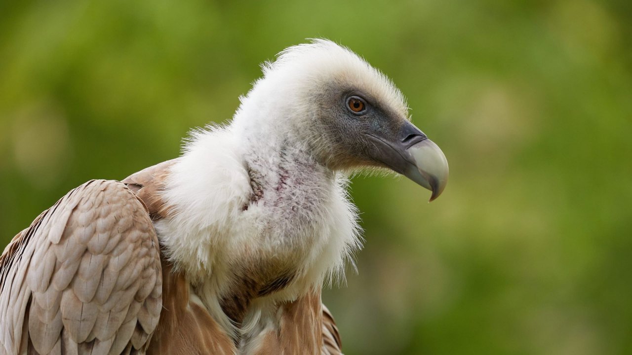 zoo duisburg 2021