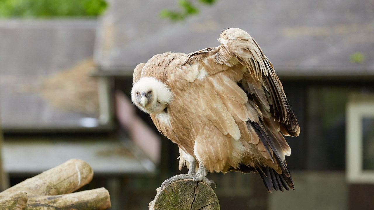 zoo duisburg 2021