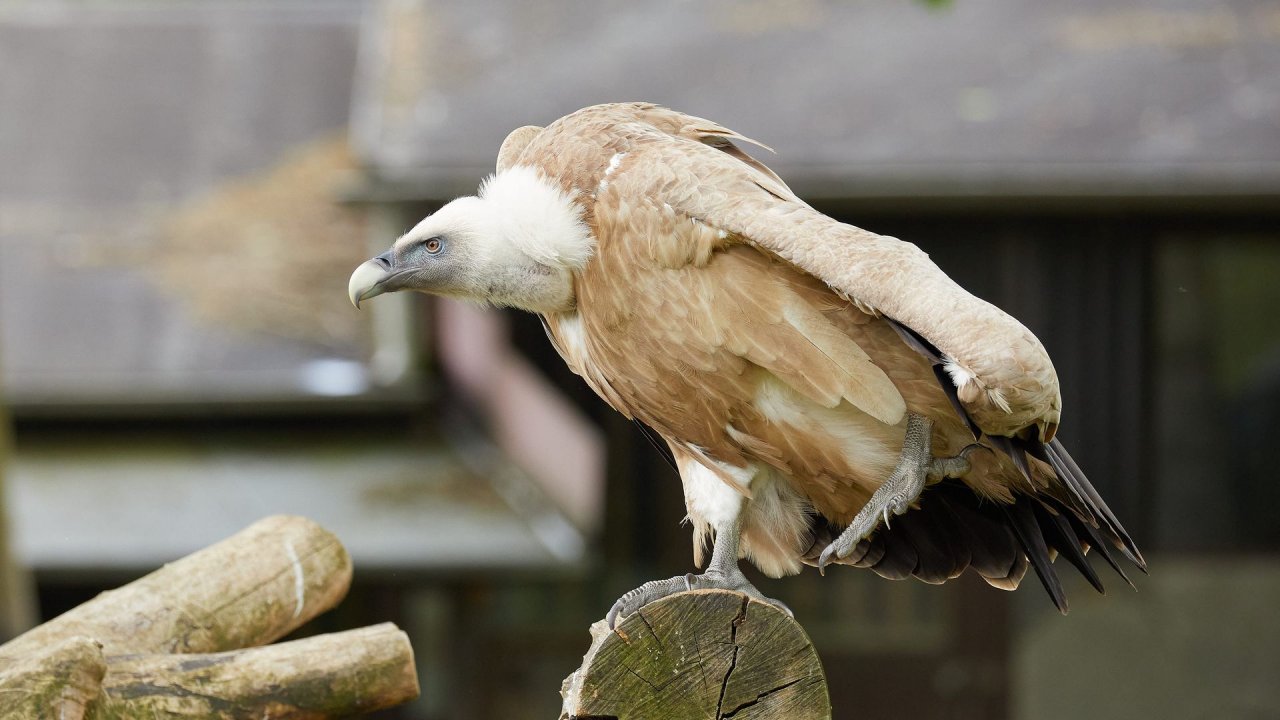 zoo duisburg 2021