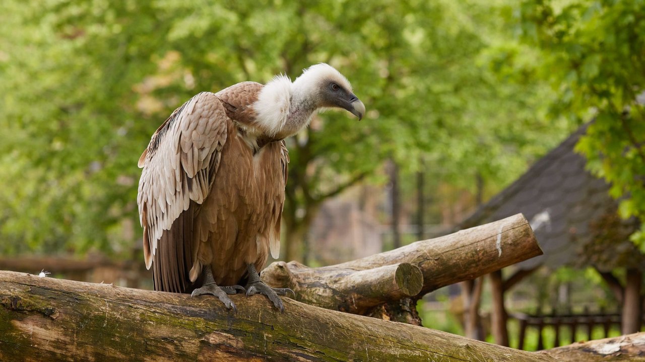 zoo duisburg 2021