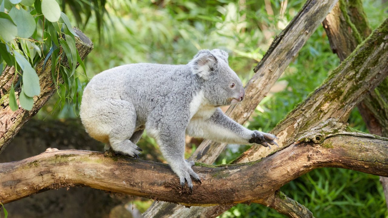 zoo duisburg 2021