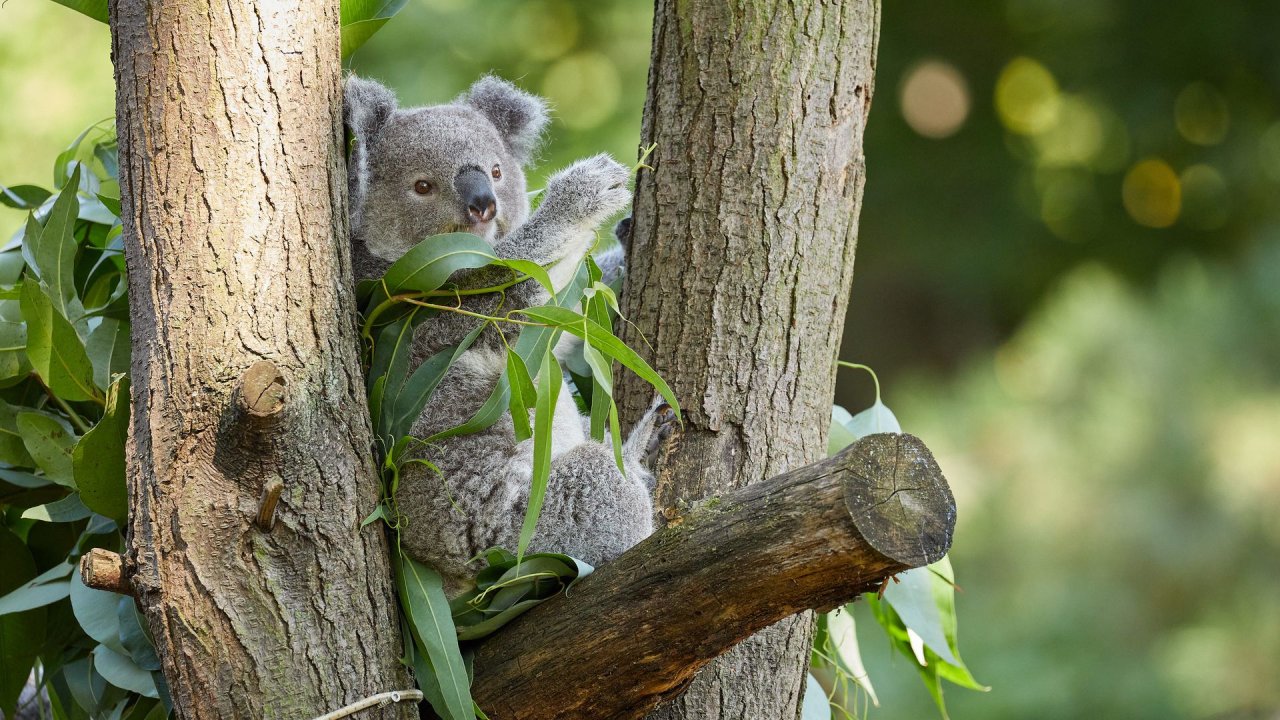zoo duisburg 2021