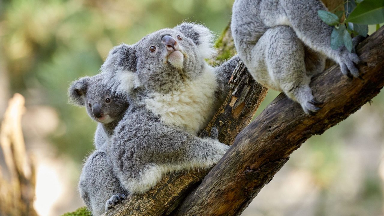 zoo duisburg 2021