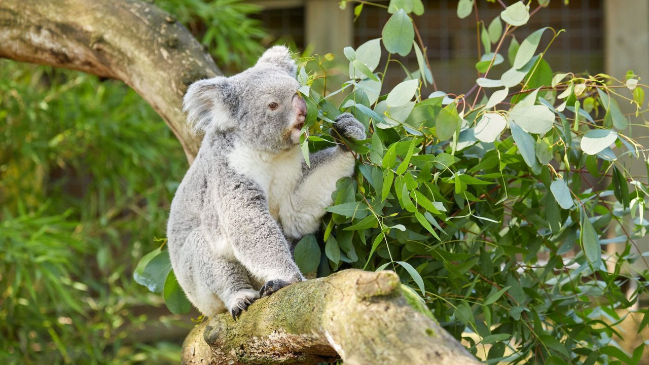 zoo duisburg 2021