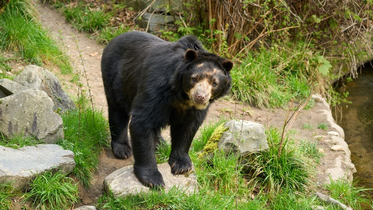 zoo duisburg 2023