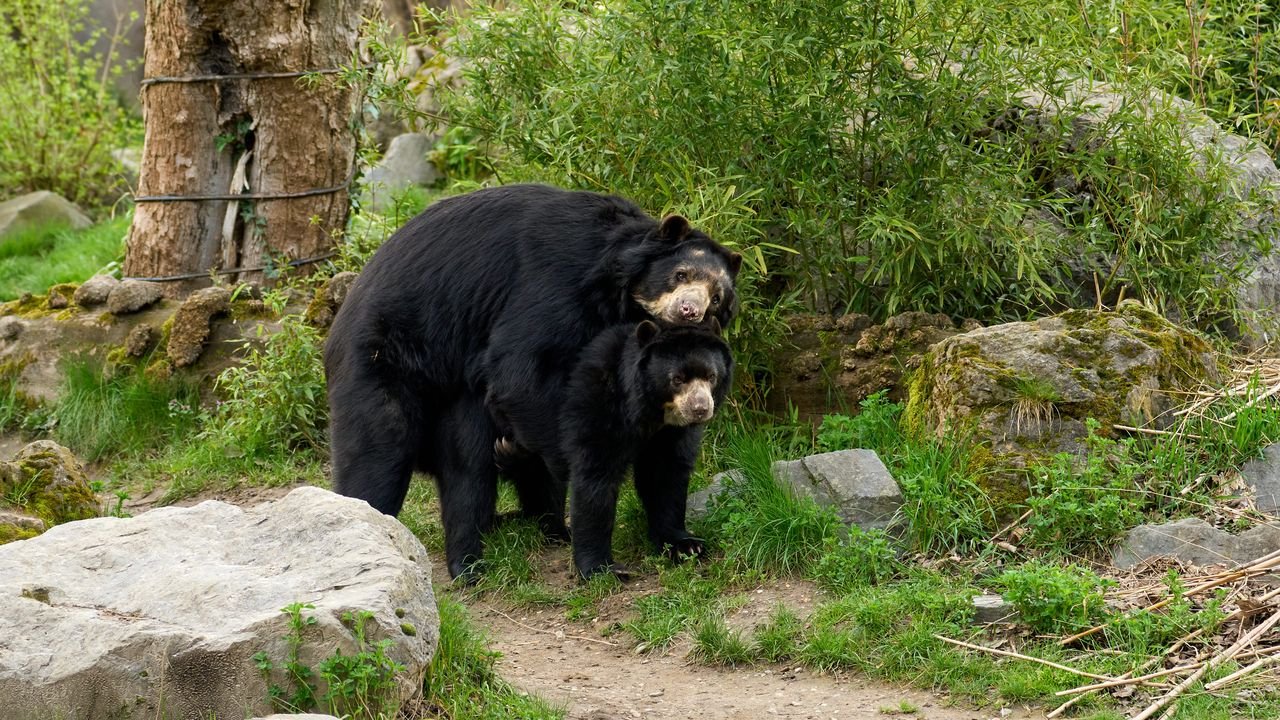 zoo duisburg 2023