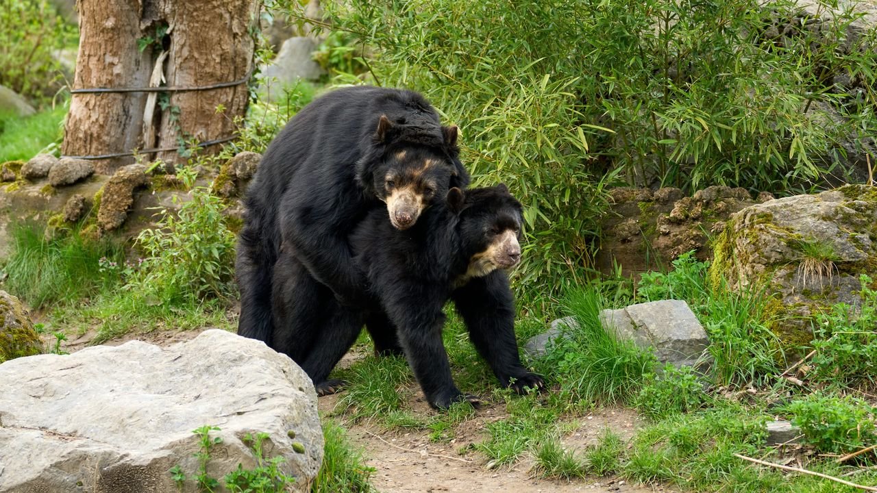 zoo duisburg 2023
