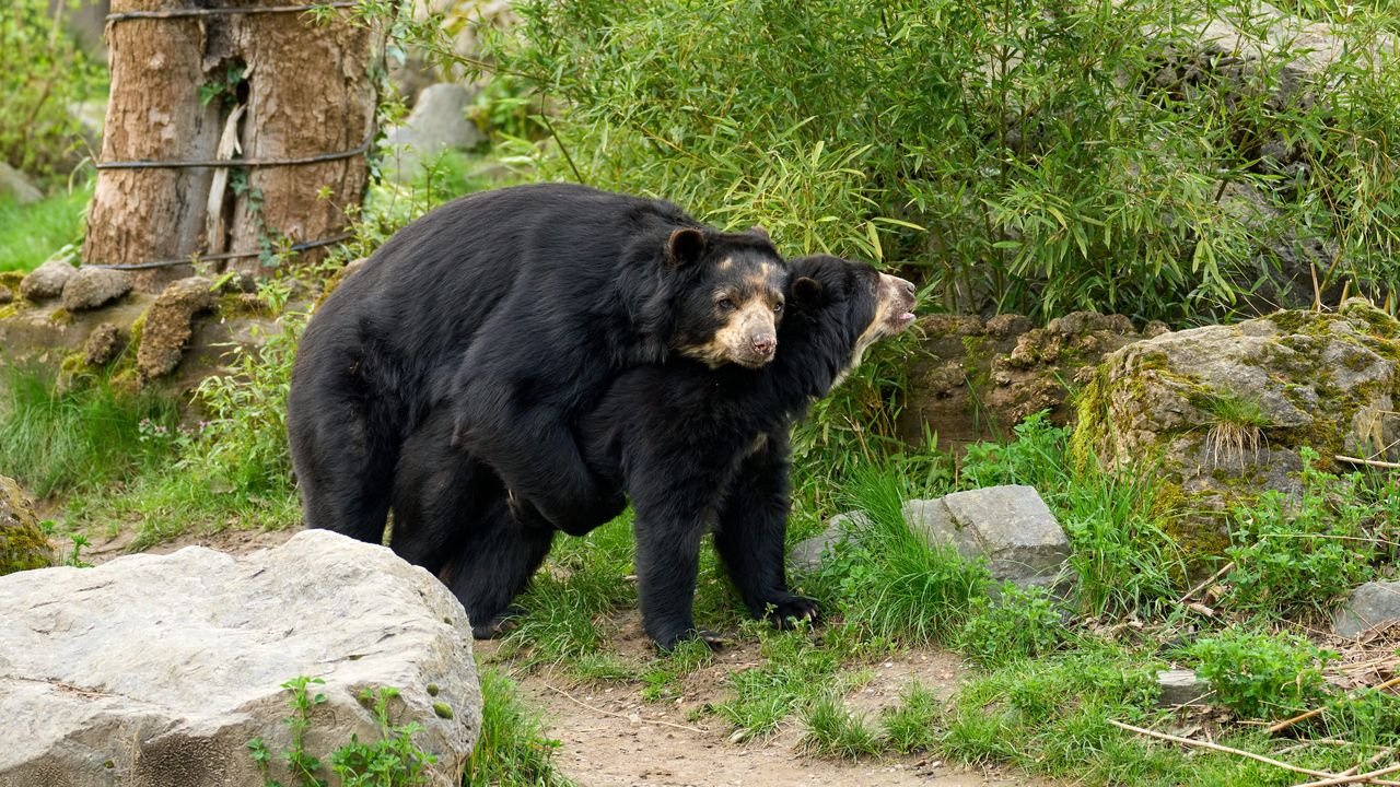 zoo duisburg 2023