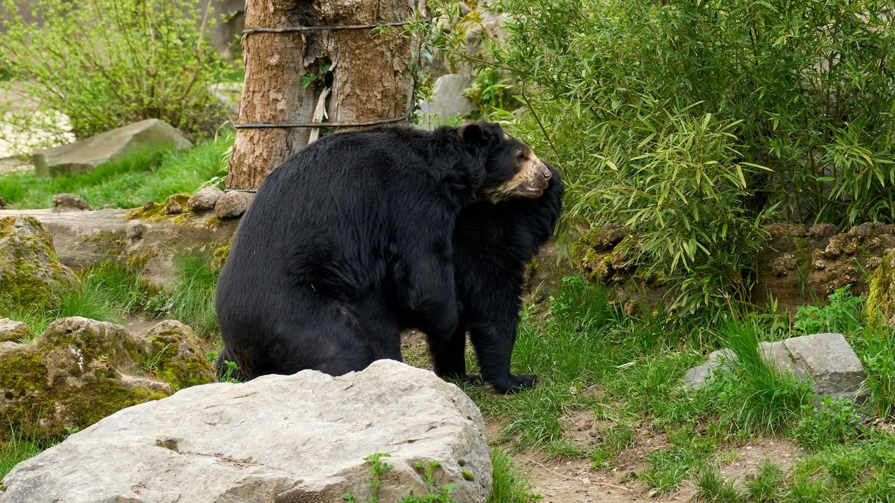 zoo duisburg 2023