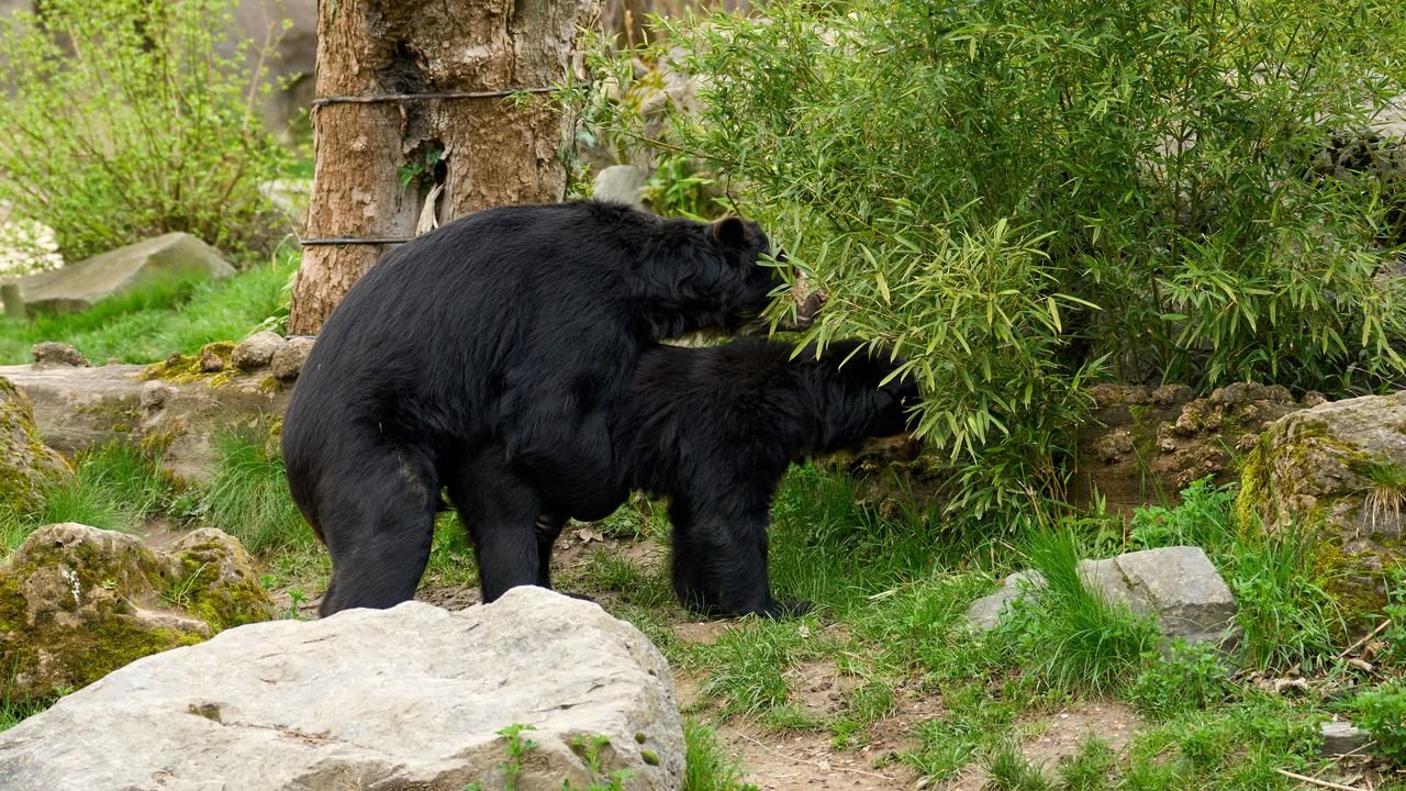 zoo duisburg 2023
