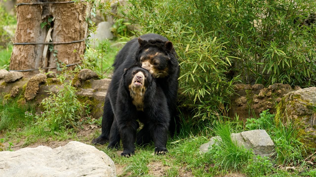 zoo duisburg 2023