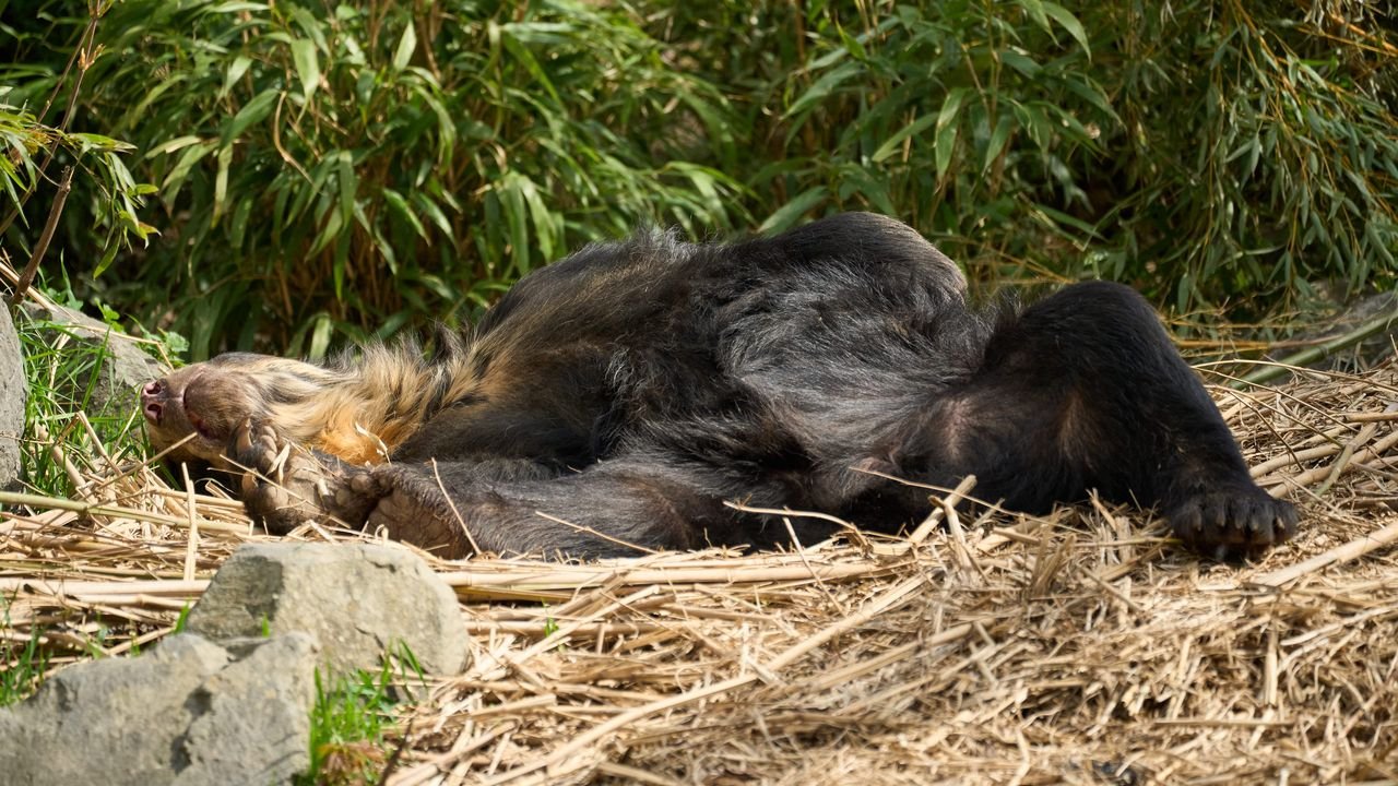 zoo duisburg 2023