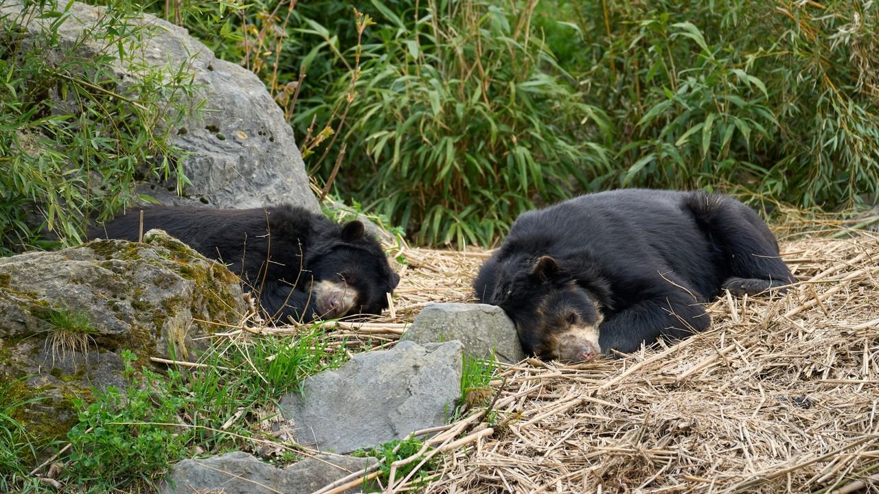 zoo duisburg 2023