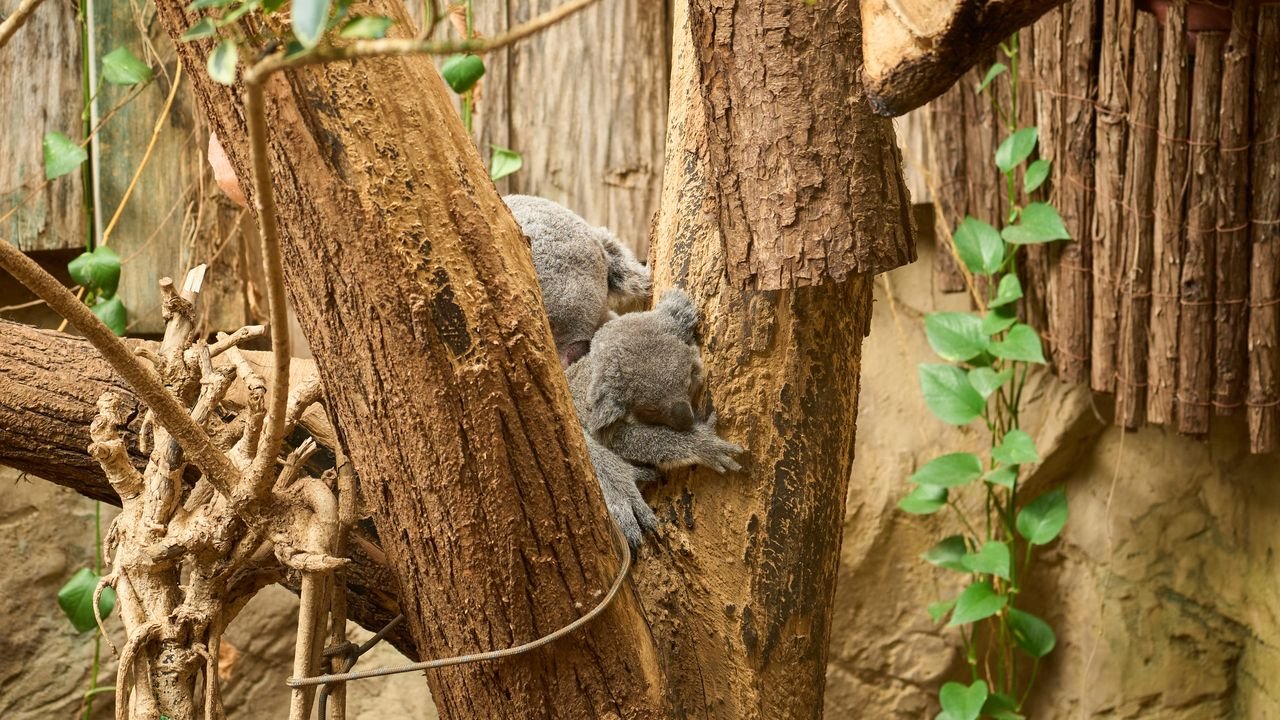 zoo duisburg 2023