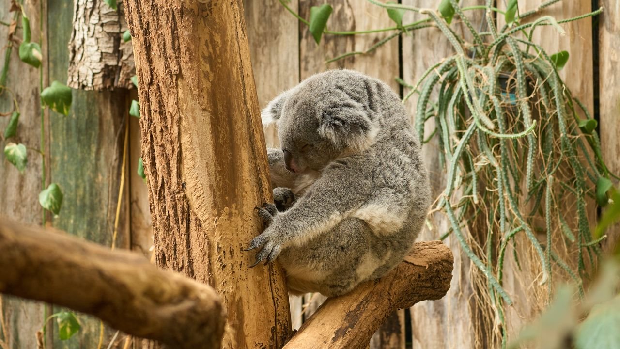 zoo duisburg 2023