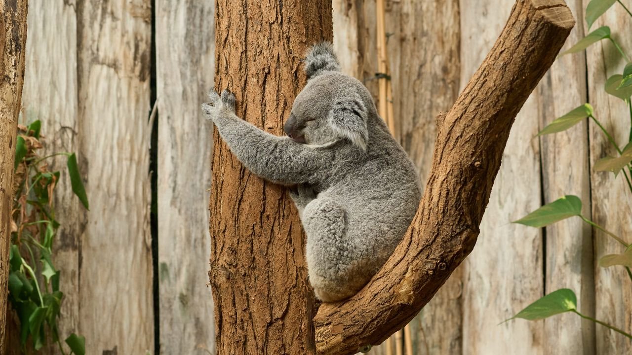 zoo duisburg 2023