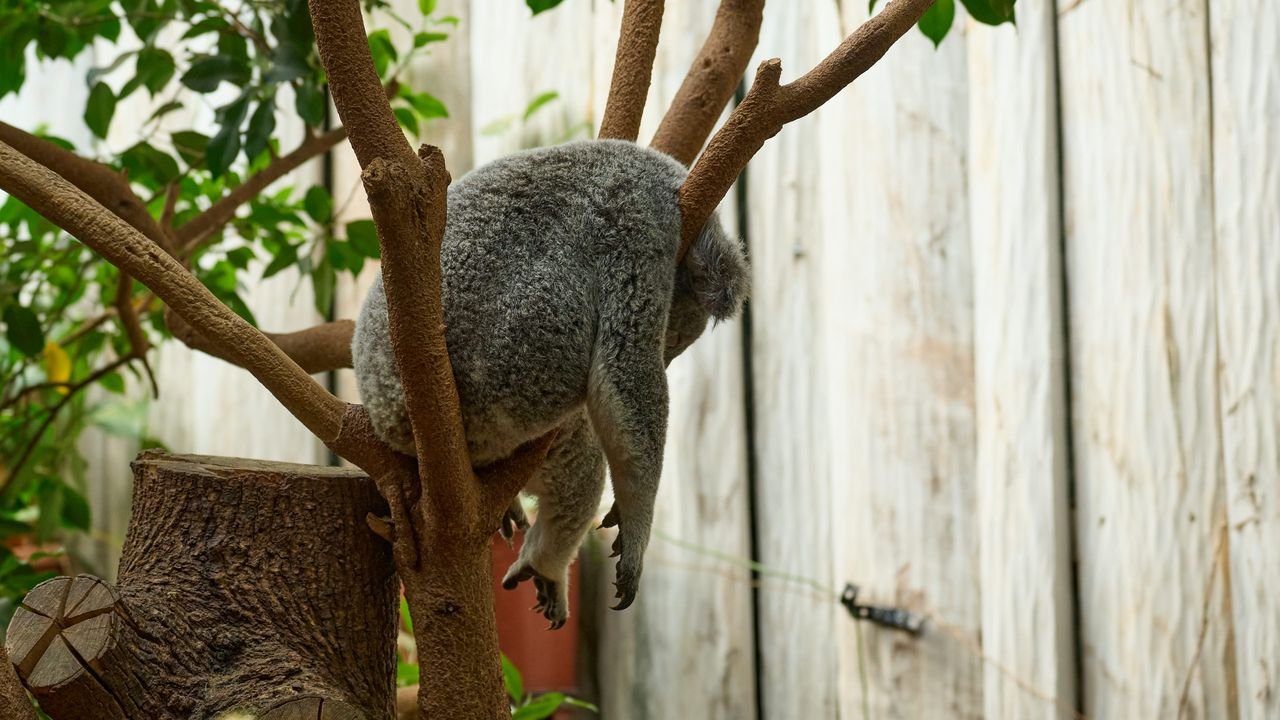 zoo duisburg 2023