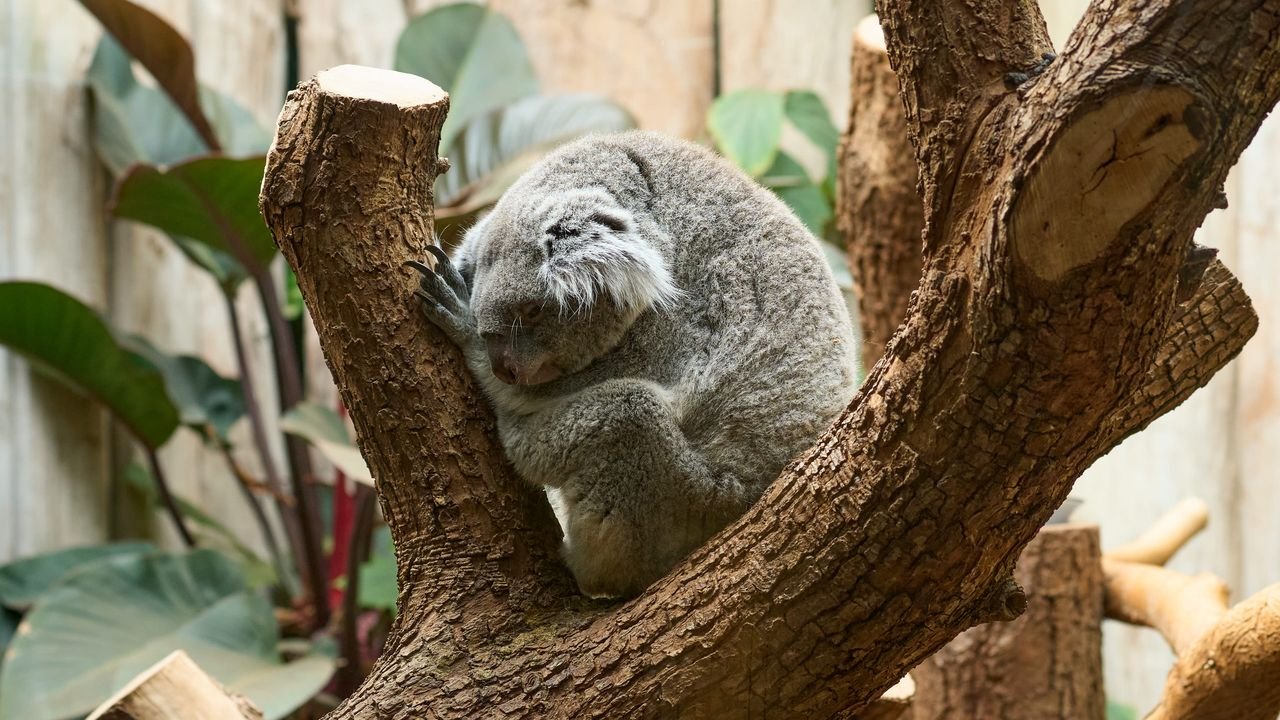 zoo duisburg 2023