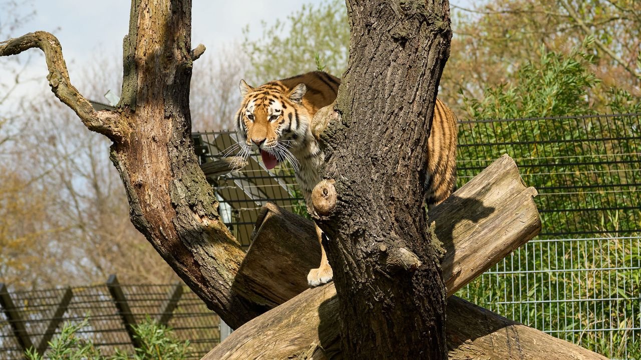 zoo duisburg 2023