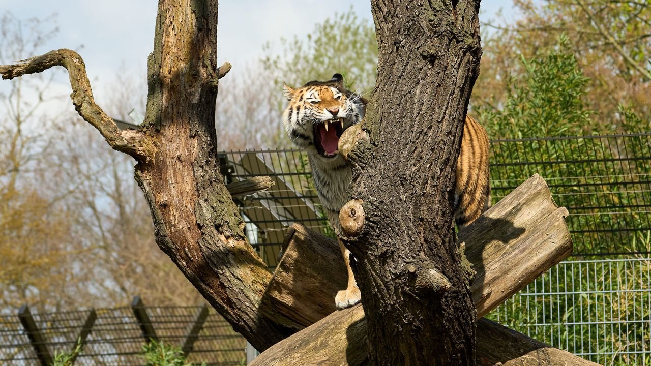 zoo duisburg 2023