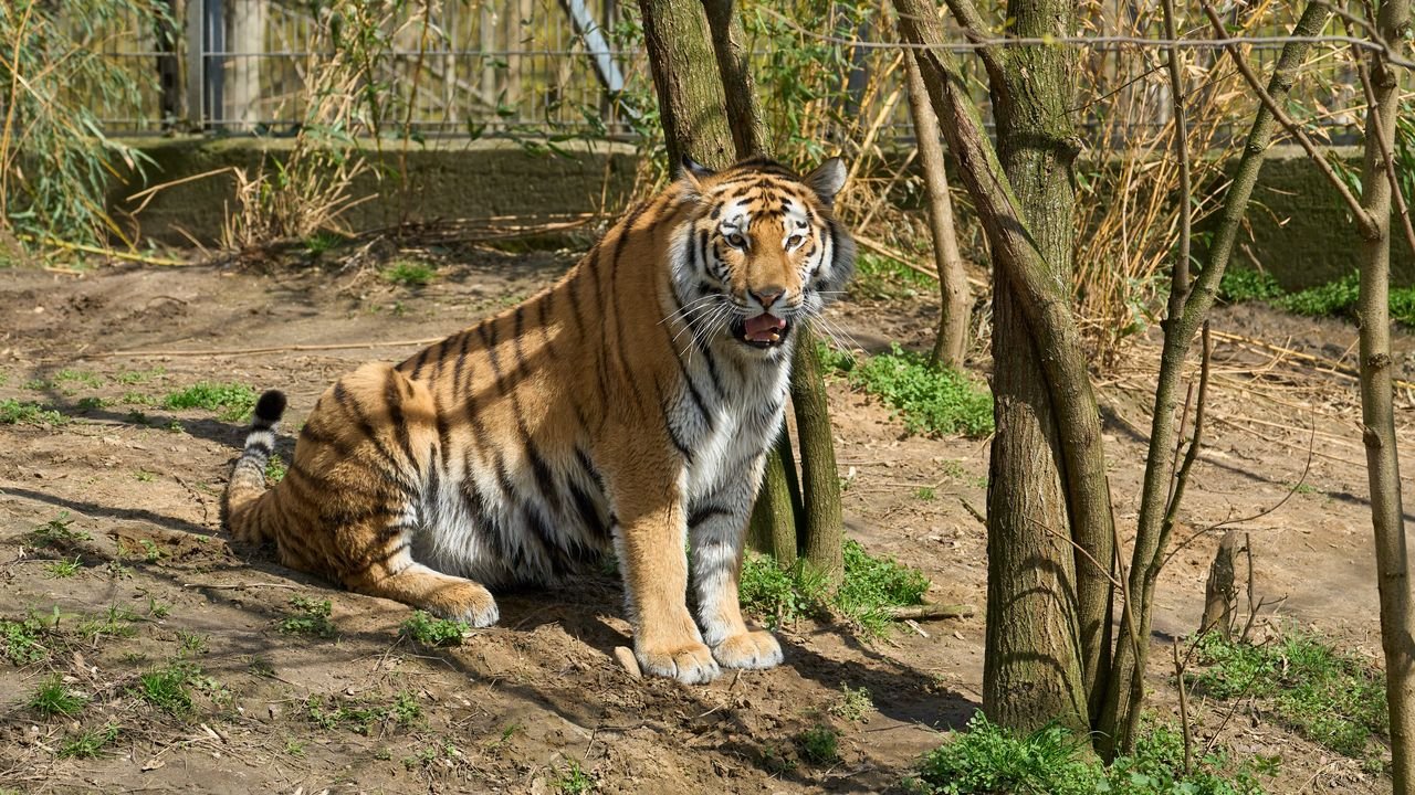 zoo duisburg 2023