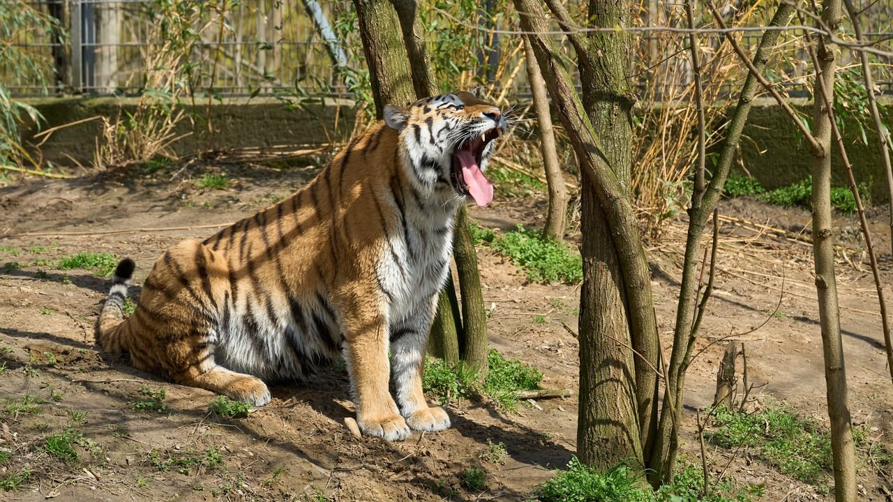 zoo duisburg 2023