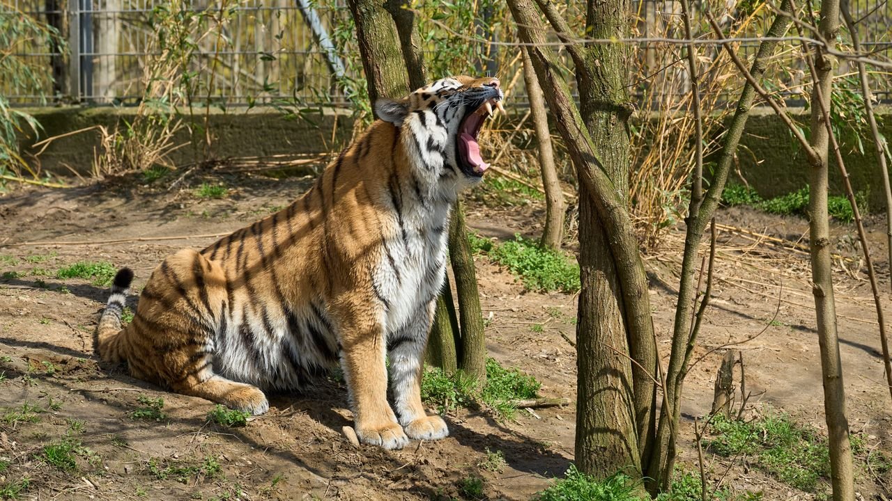 zoo duisburg 2023