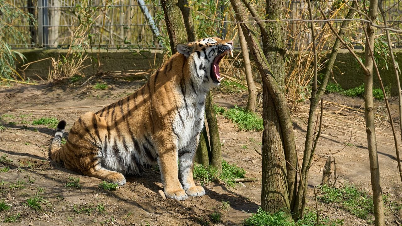zoo duisburg 2023