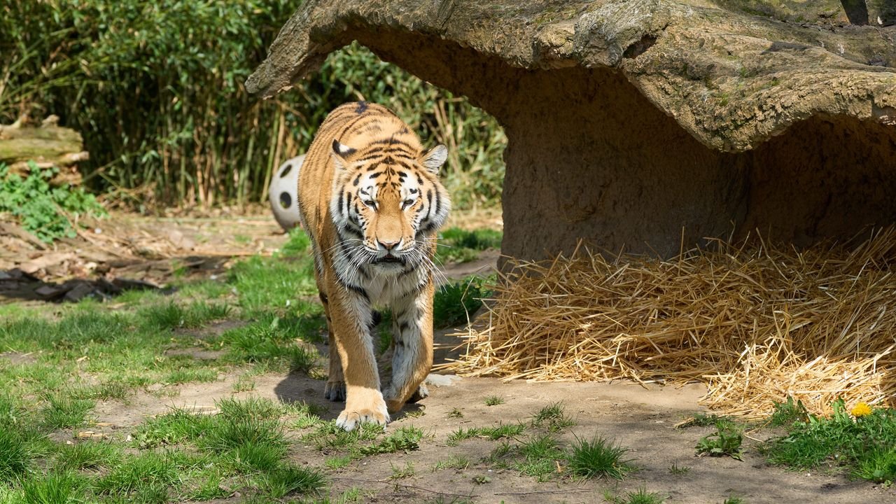 zoo duisburg 2023