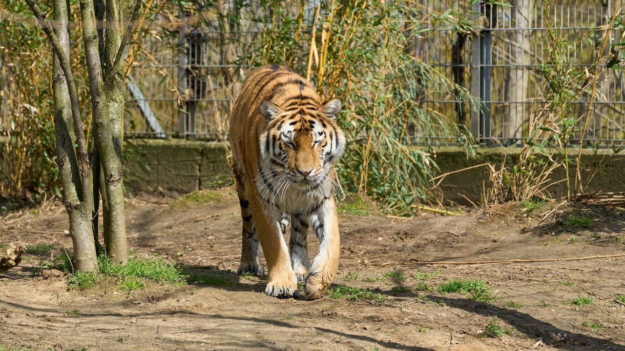 zoo duisburg 2023