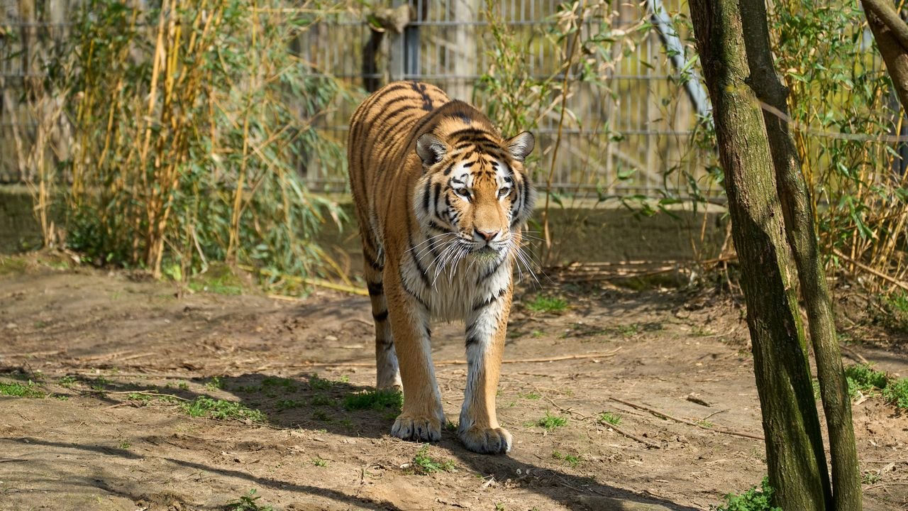 zoo duisburg 2023