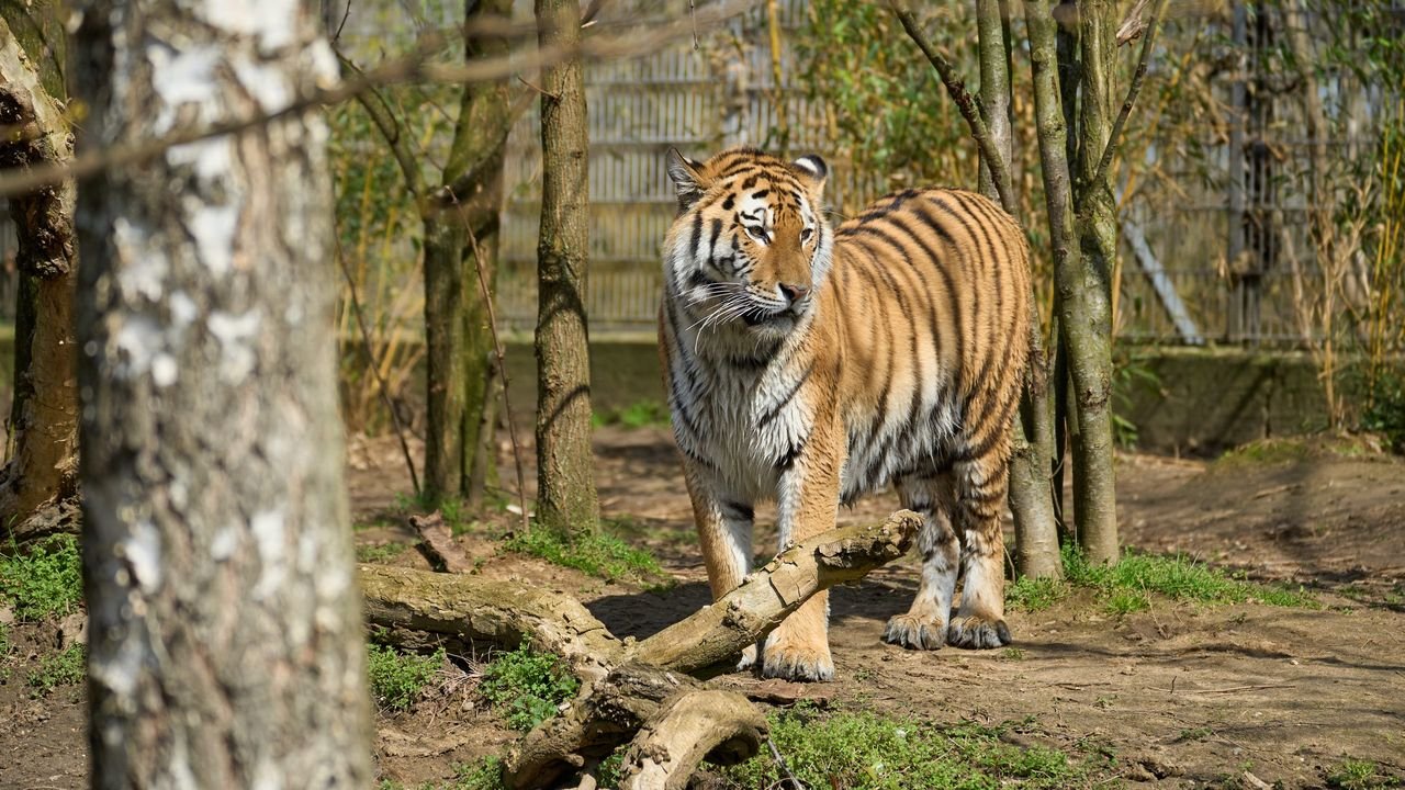 zoo duisburg 2023