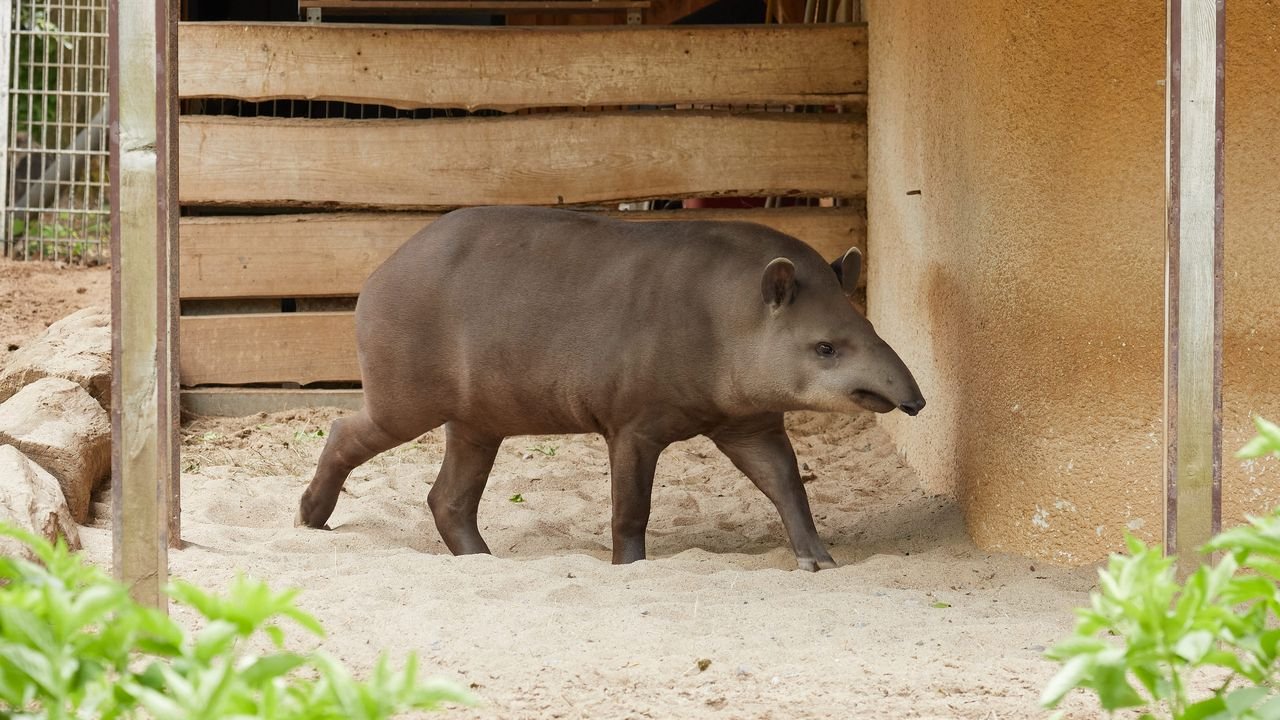 zoo krefeld 2021