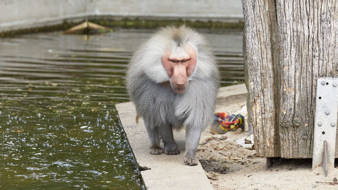 zoo krefeld 2021