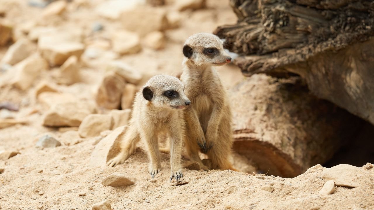 zoo krefeld 2021