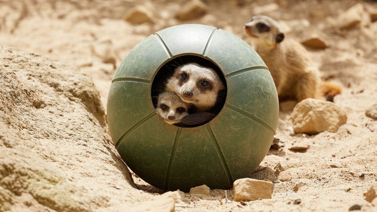 zoo krefeld 2021