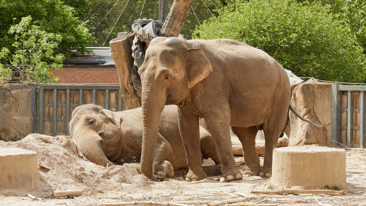 zoo krefeld 2021